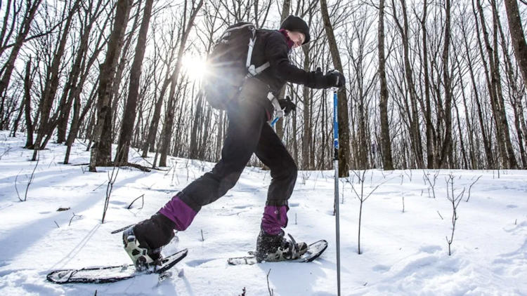 Crane Lake Snow Activities